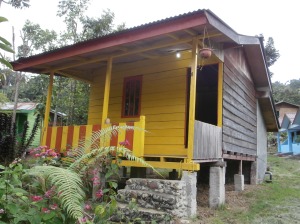 My jungle cabin
