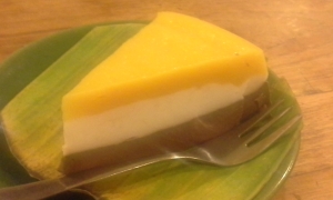 Chocolate mango and coconut cake